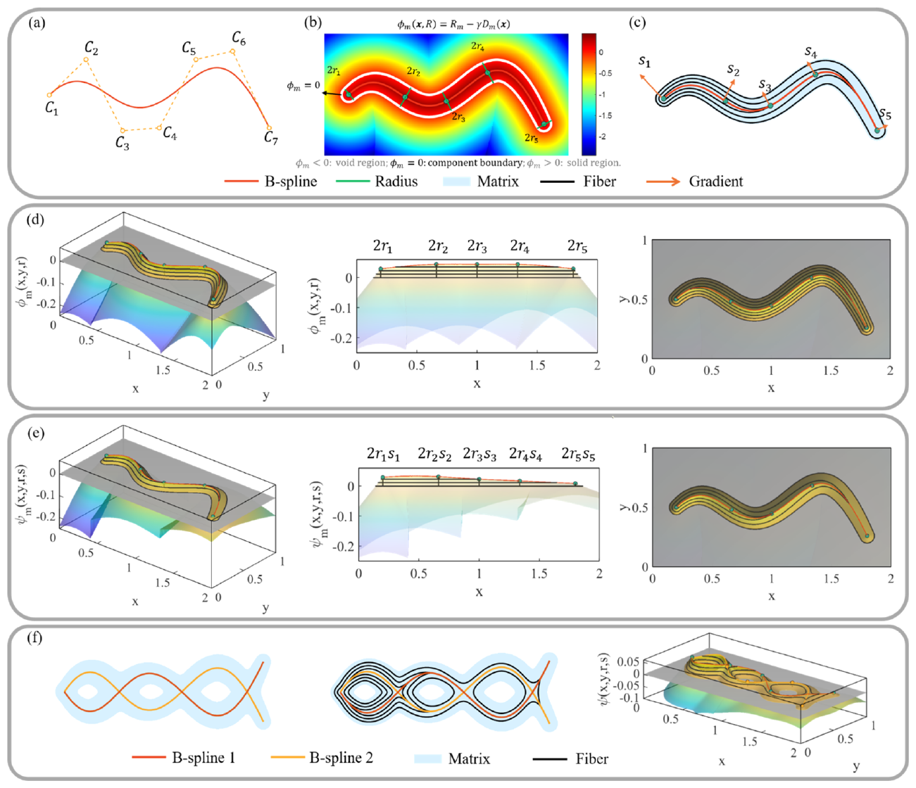 Variable-width B-spline components and their continuous fiber-path fields